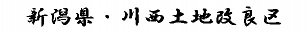 쐼ynǋ